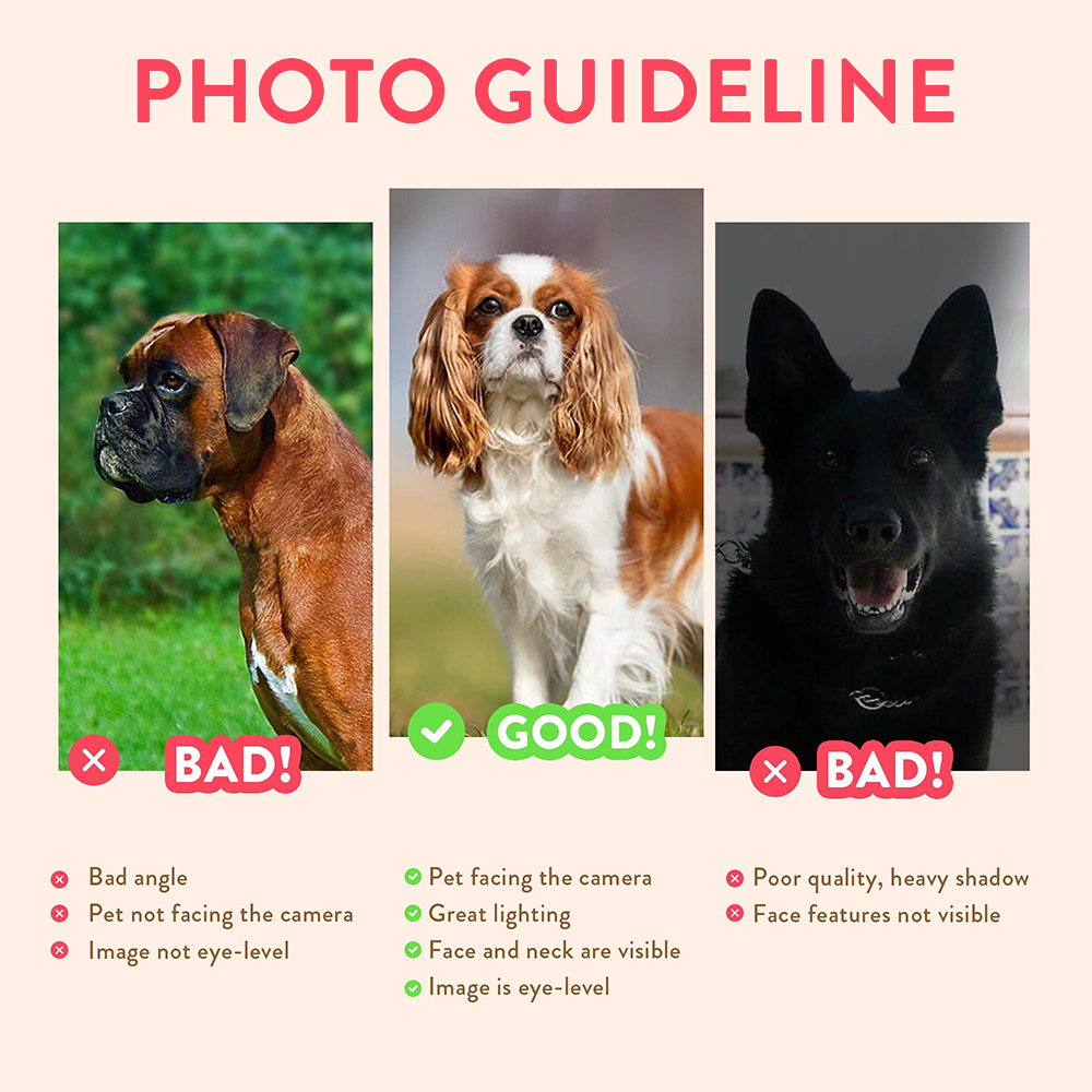Personalized Pet Portraits Pho - Photography Object recension och pris