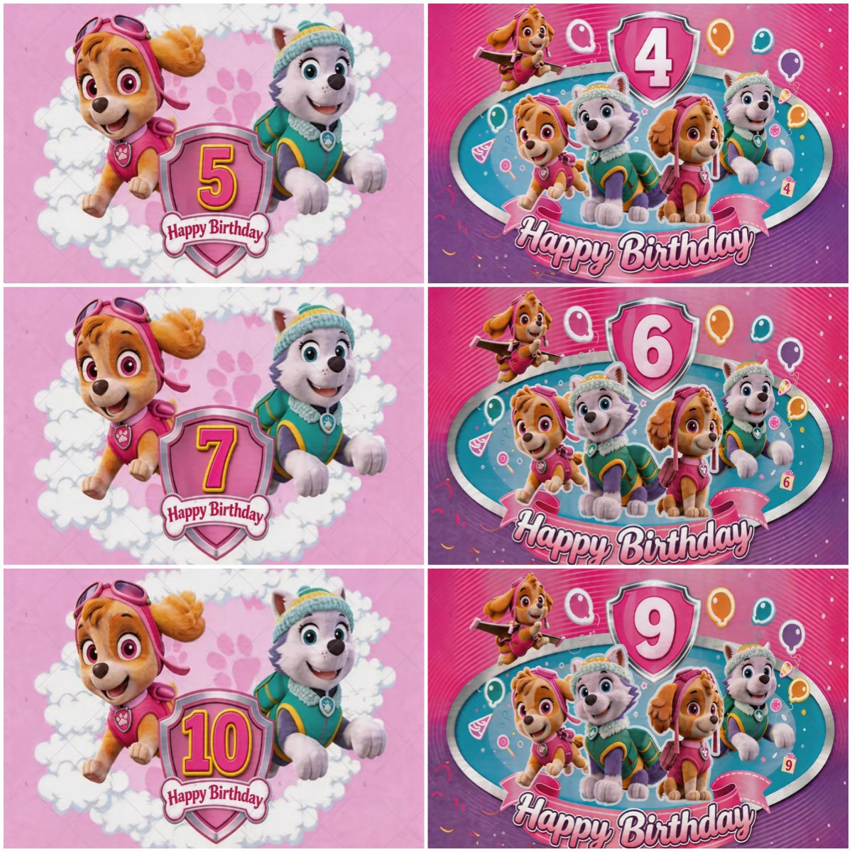 Animation PAW Patrol Ryder Sky - Photography Composition recension och pris