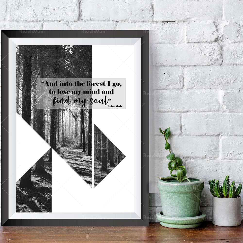 Black and white forest prints/ - Photography Quotes Inspirational recension och pris