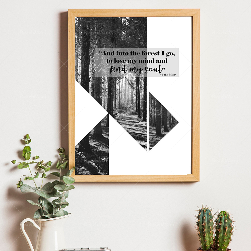 Black and white forest prints/ - Photography Quotes Inspirational recension och pris
